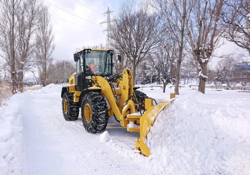 Flexible Pricing Structures for Efficient Snow Management Solutions